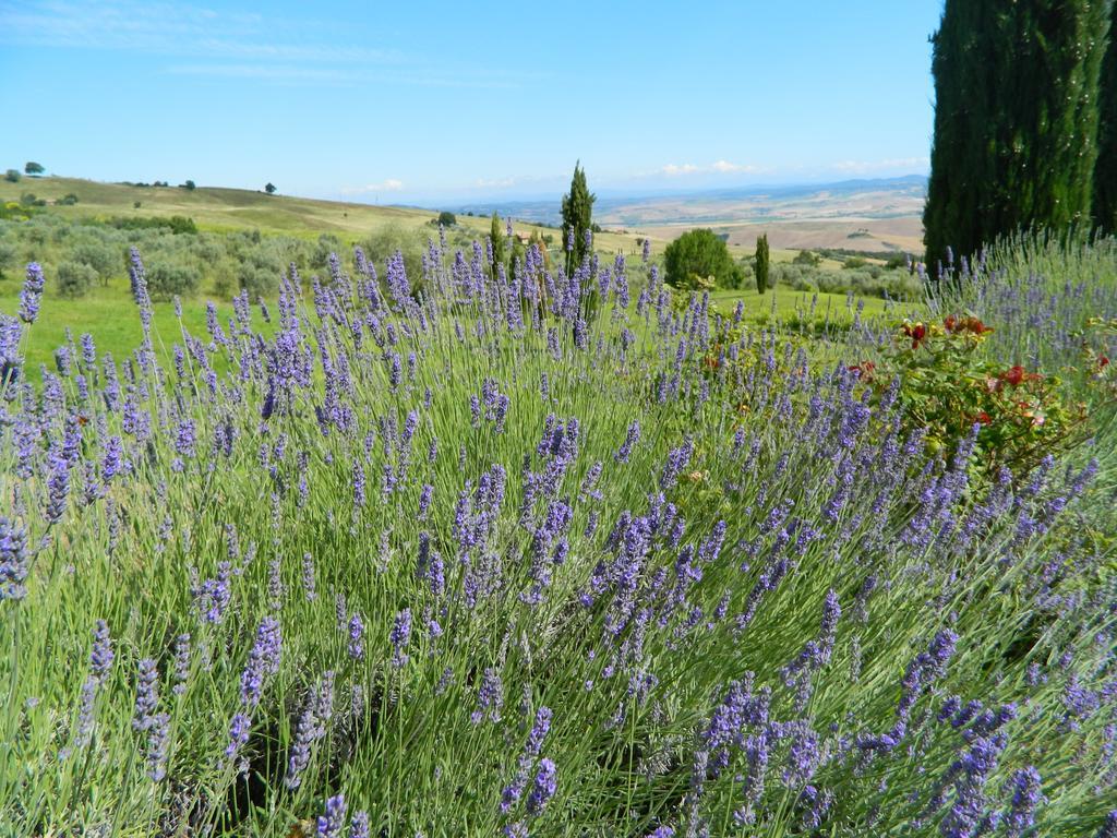 Le Rogheta Villa Campiglia d'Orcia Bagian luar foto