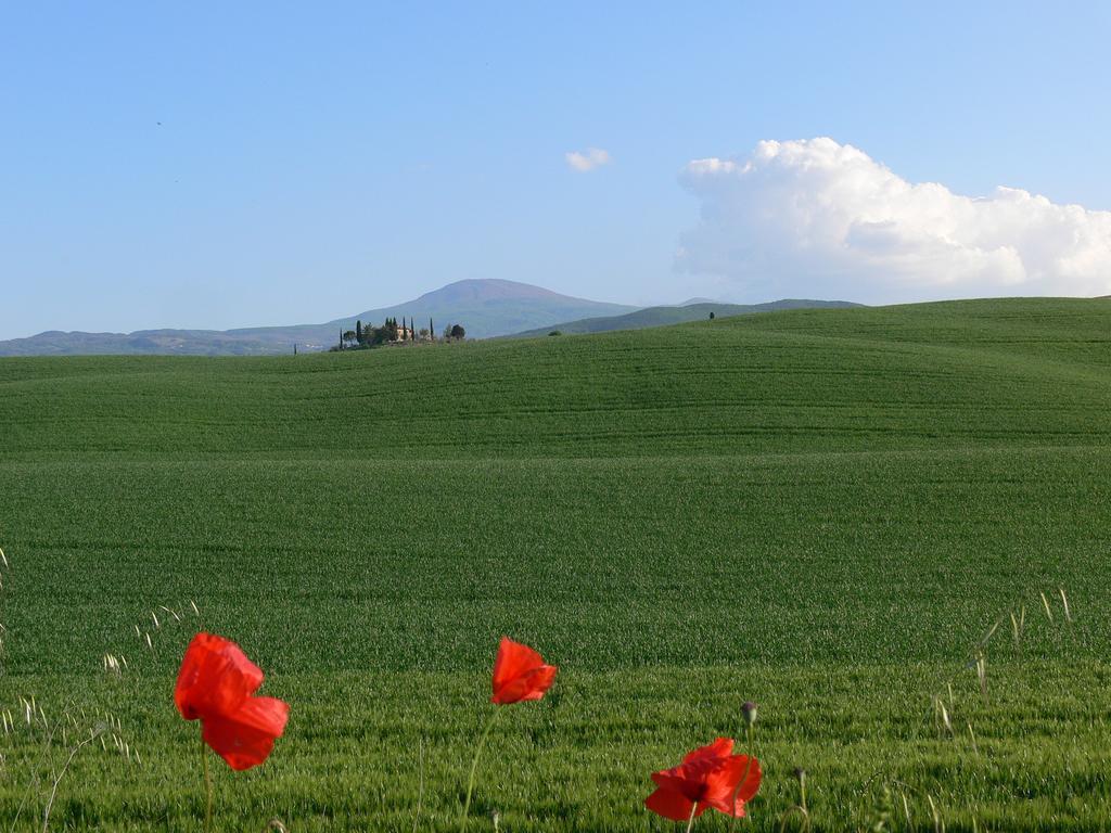 Le Rogheta Villa Campiglia d'Orcia Bagian luar foto